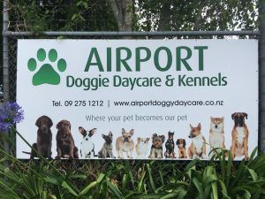 Airport Doggie Daycare