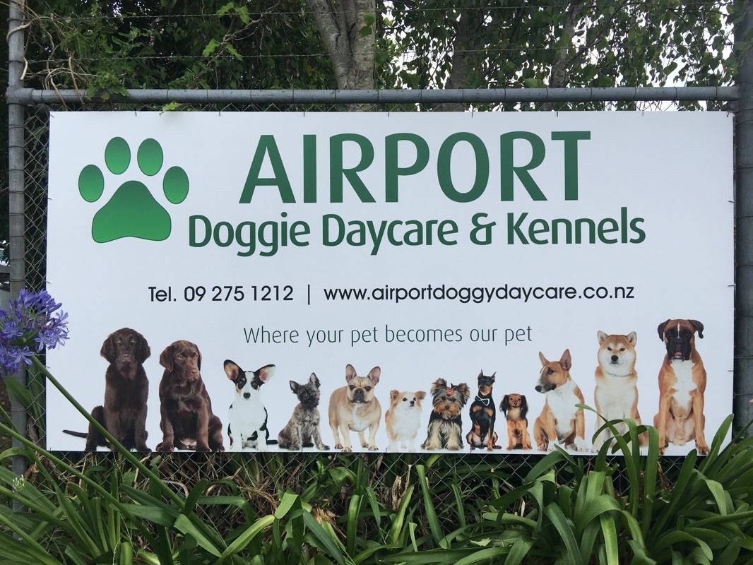 Airport Doggie Daycare