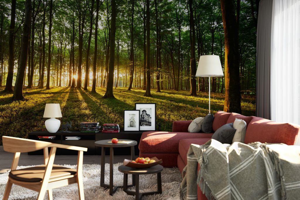 Wall Murals New Zealand Made Custom Designs Graffix Art