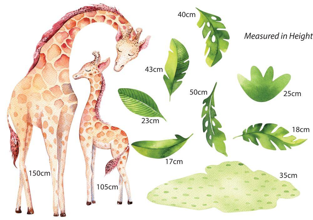 Mother and baby giraffe measurements