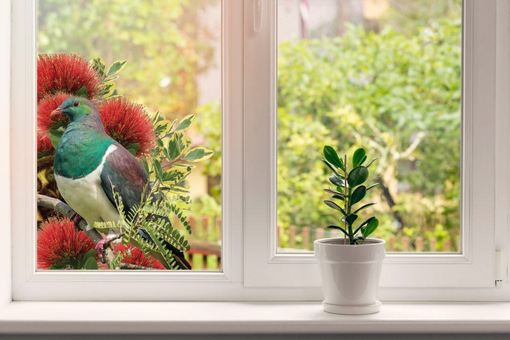 Pohutukawa Peace - Ultra clear vinyl