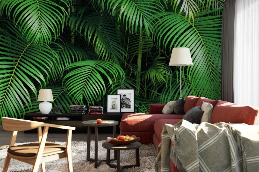 Rainforest Wall Murals